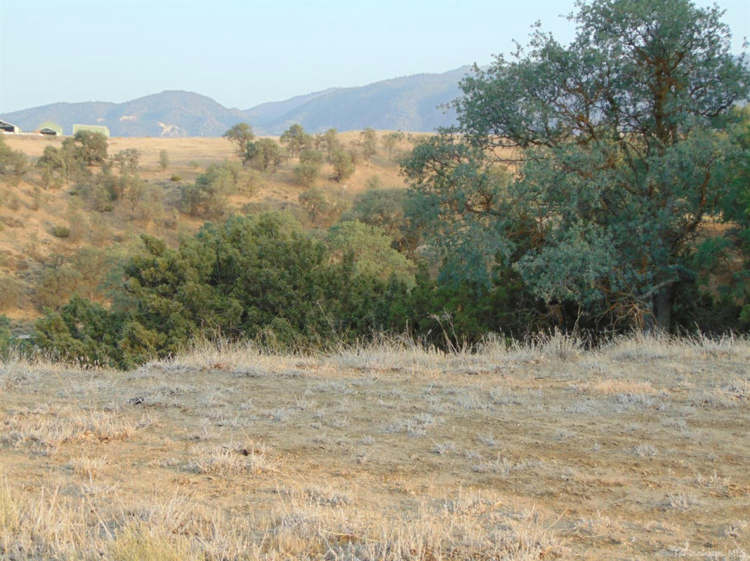 19306 BRITE VALLEY RD LOT 110, TEHACHAPI, CA 93561, photo 1 of 2