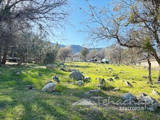 3817 SECLUSION RD, LAKE ISABELLA, CA 93240, photo 4 of 25